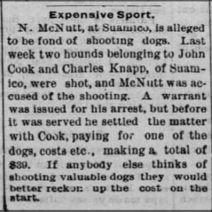 Shooting dogs is expensive sport
